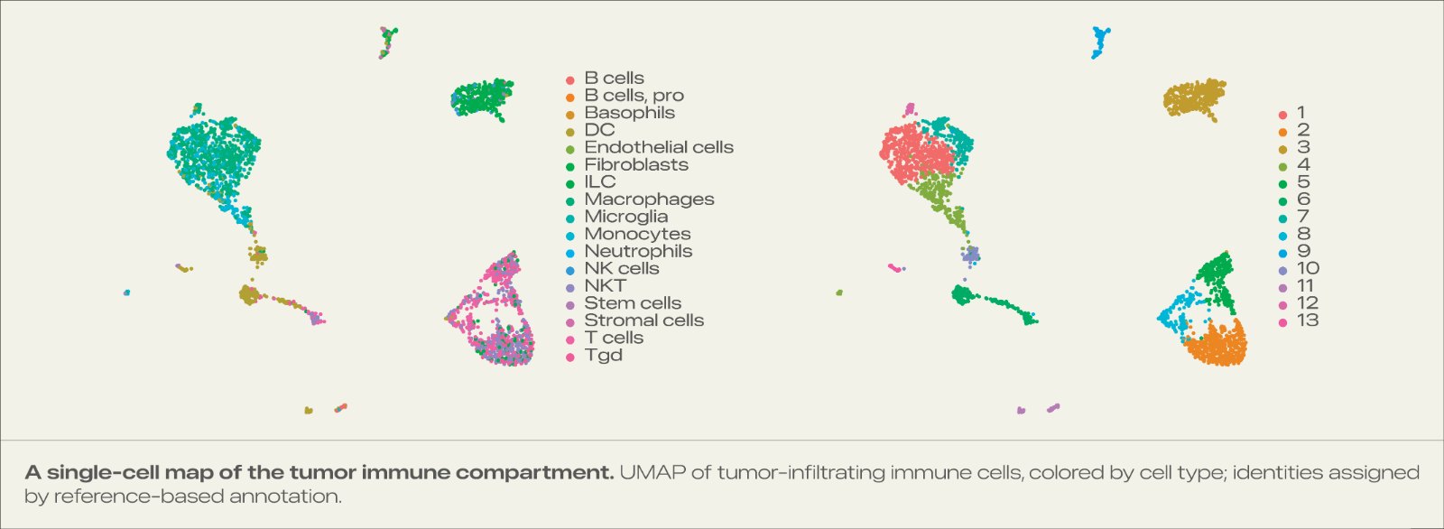 single-cell map of the tumor immune compartment